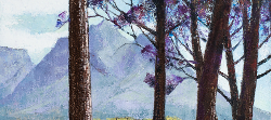 Devil's Peak from Rondebosch Common | 2020 | Oil on Canvas | 62 x 44 cm